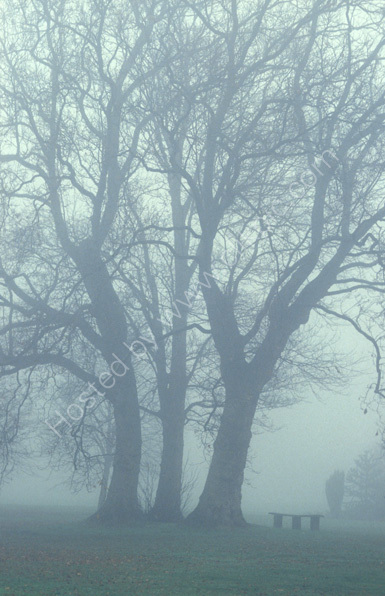 Hall Place Misty morn